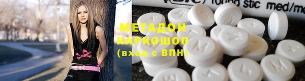 прущие грибы Болохово