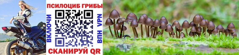 Галлюциногенные грибы Psilocybe Пыталово