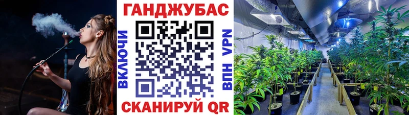 Марихуана Amnesia Пыталово